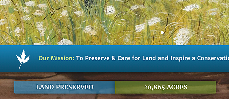 Y-Home-Website-DRGreenway2