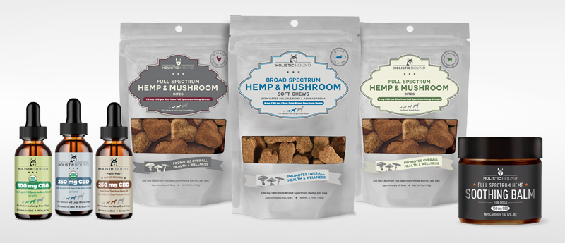 HH-Family-6-products-HiRes-YWebsite21Sml